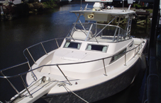 1995 30ft Grady White  -  Marlin